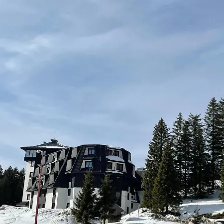 Vili.kop * Kopaonik